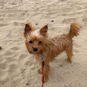 Meet your Posher, Jackson